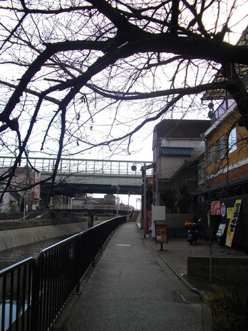 IMGP1419.JPG